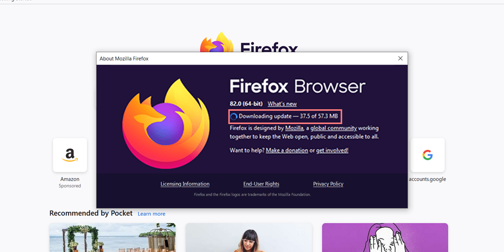 Como corrigir o erro “SSL_ERROR_RX_RECORD_TOO_LONG”? 7 Downloading Firefox browser Updates