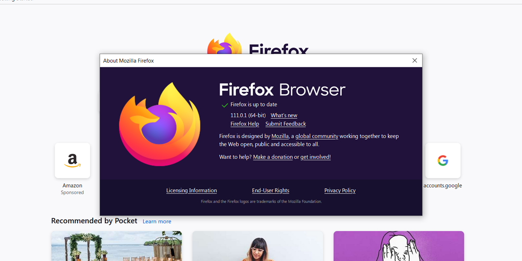 Como corrigir o erro “SSL_ERROR_RX_RECORD_TOO_LONG”? 9 Firefox Browser is up to date