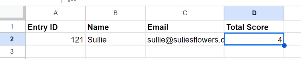 Entrada de hoja de Google - WPForms Google sheet entry