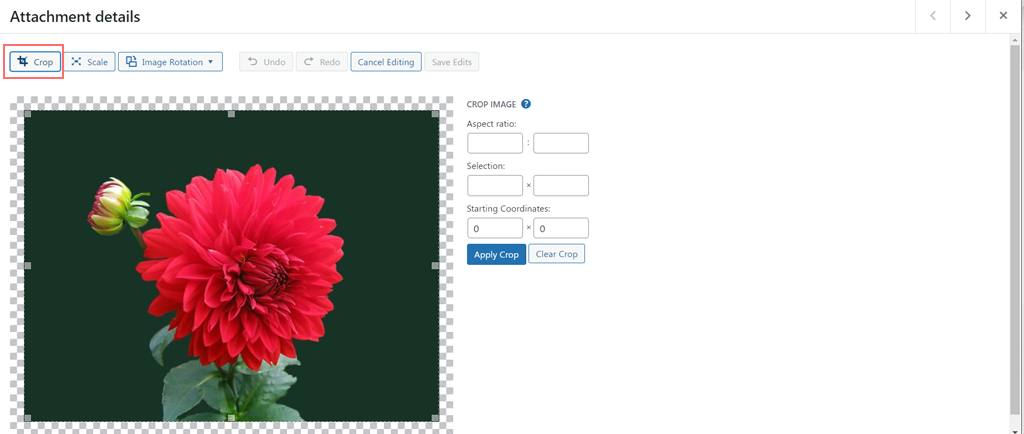 如何在 WordPress 中編輯圖片並調整圖片大小?快速教學4 cropping an image in WordPress