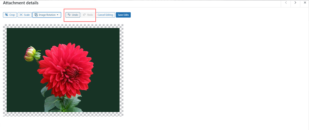 如何在 WordPress 中編輯圖片並調整圖片大小?快速教學 6 Undo mistakes while editing image in WordPress