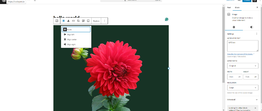 如何在 WordPress 中編輯圖片並調整圖片大小?快速教學 9 Aligning an image in WordPress