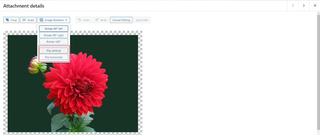 如何在 WordPress 中編輯圖片並調整圖片大小?快速教學 8 Flipping an image in WordPress