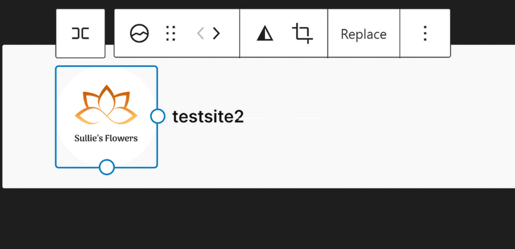 Ubah Ukuran Logo Situs Titik - WPForms site logo resize dots