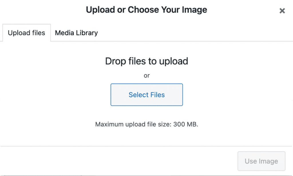 Gunakan Gambar - WPForms use image