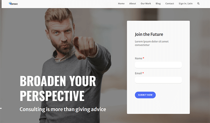 9 ベスト ビジネス コンサルティング WordPress テーマとテンプレート 5 oceanwp consulting 24