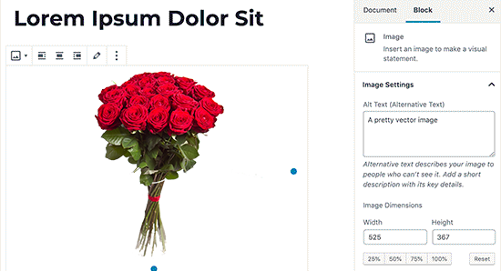 Bagaimana Cara Mengunggah File SVG ke Situs WordPress dengan Aman? 12 Upload SVG Files in a Post or Page