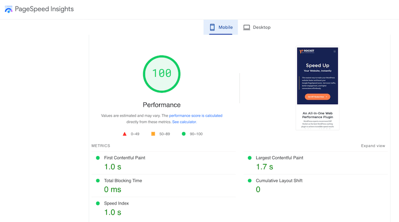 Skor kinerja - Sumber: PageSpeed Insights