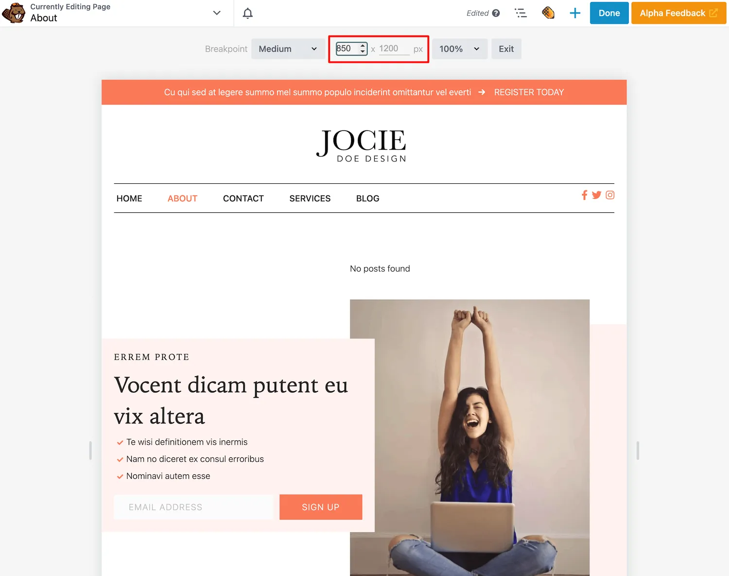 Píxeles de página personalizados