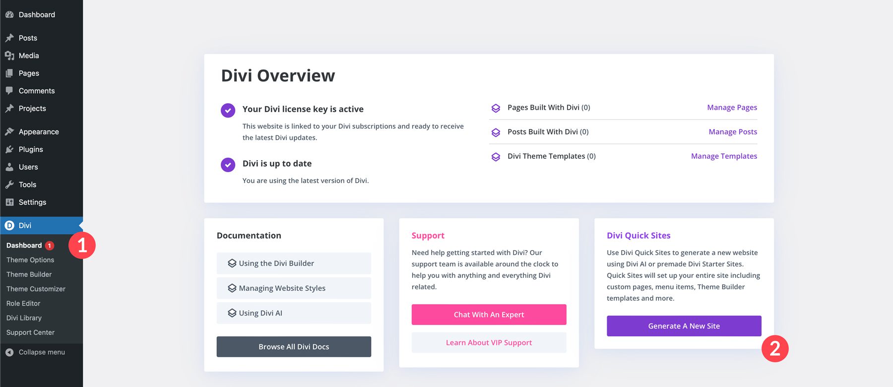 Divi 에스테틱 스타터 사이트