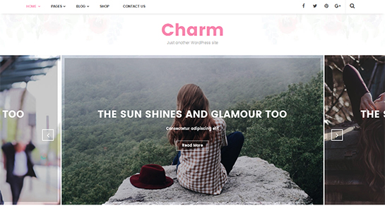 Tema del blog WordPress
