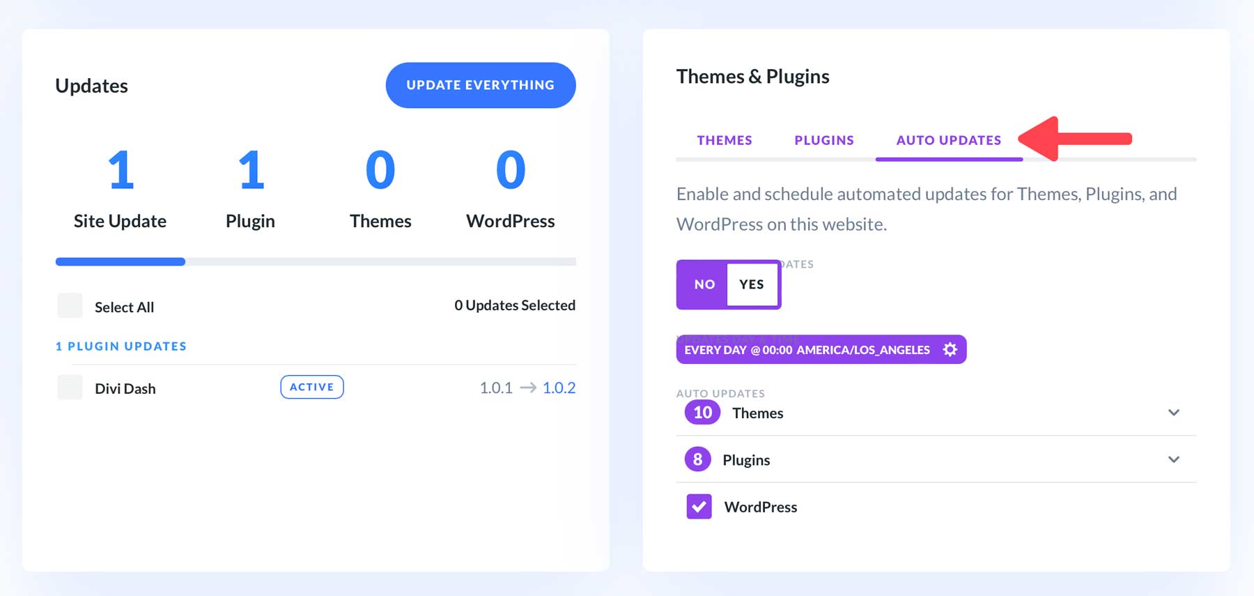 อัพเดตอัตโนมัติ Divi Dash