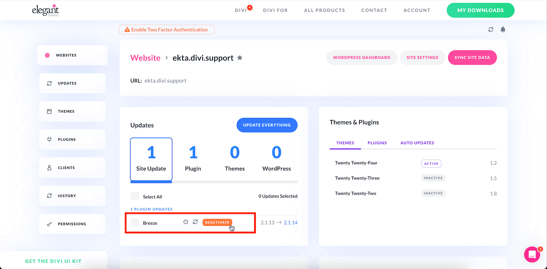 ถอนการติดตั้งปลั๊กอินและธีมด้วย divi dash