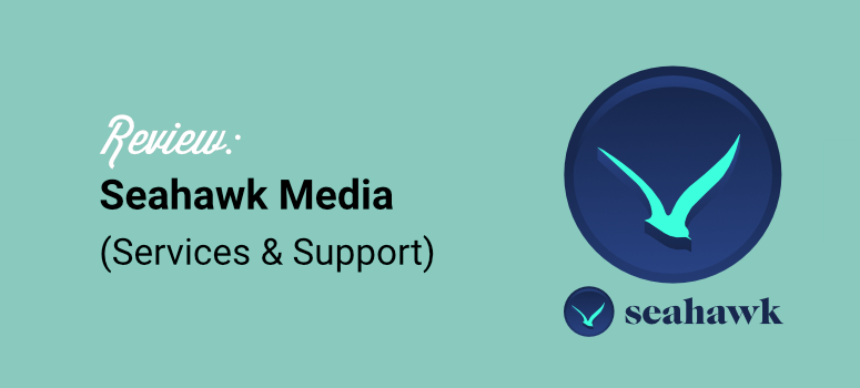 examiner les services et le support multimédia Seahawk - IsItWP - Détecteur de thème WordPress gratuit review seahawk media services and support