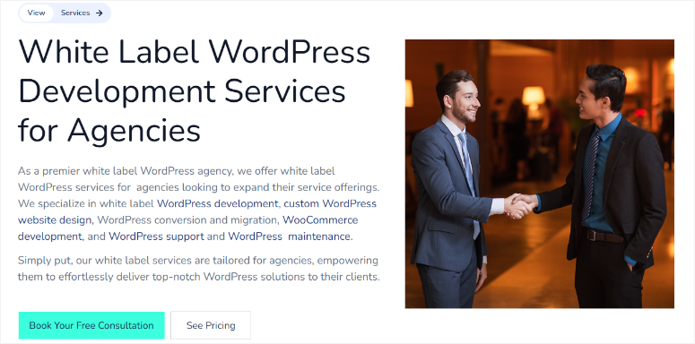 seahawk-media-white-label-services - IsItWP - Détecteur de thème WordPress gratuit seahawk media white label services