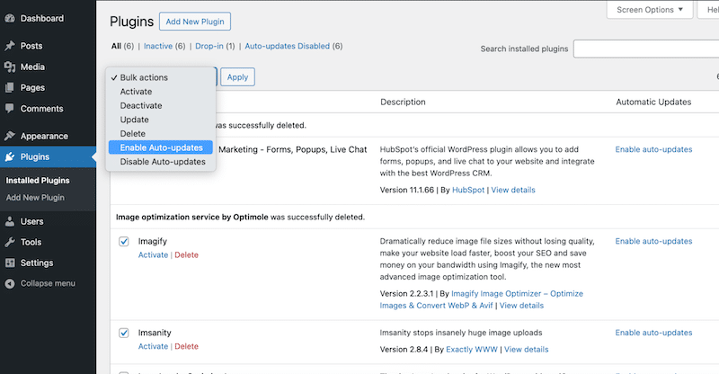 Activation des mises à jour automatiques depuis WordPress avant le lancement – Source : Mon tableau de bord WP