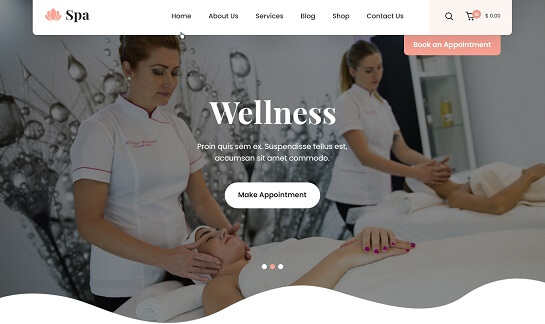 Tema de WordPress para spa
