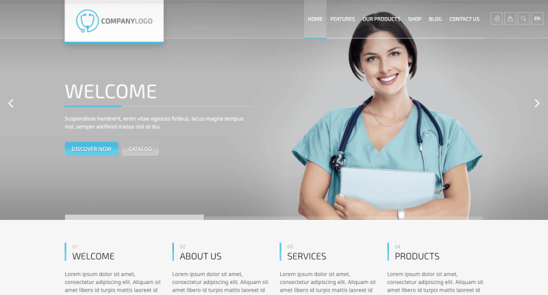 rt-主题-20-wordpress
