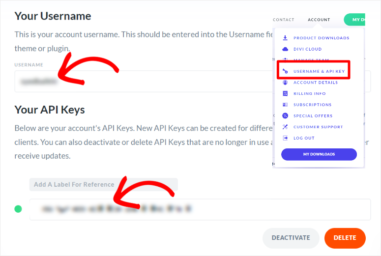 divi-copy-username-api-key - IsItWP - Detector de temas gratuito de WordPress divi copy username api key