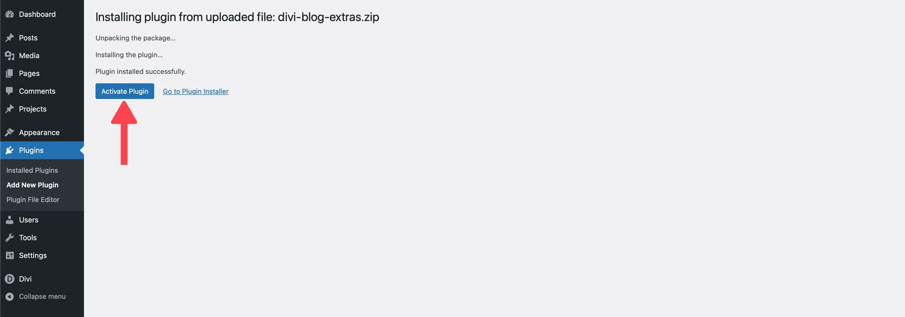 Aktivieren Sie das WordPress-Plugin