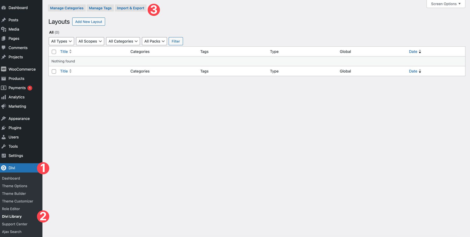 Divi-Layouts importieren