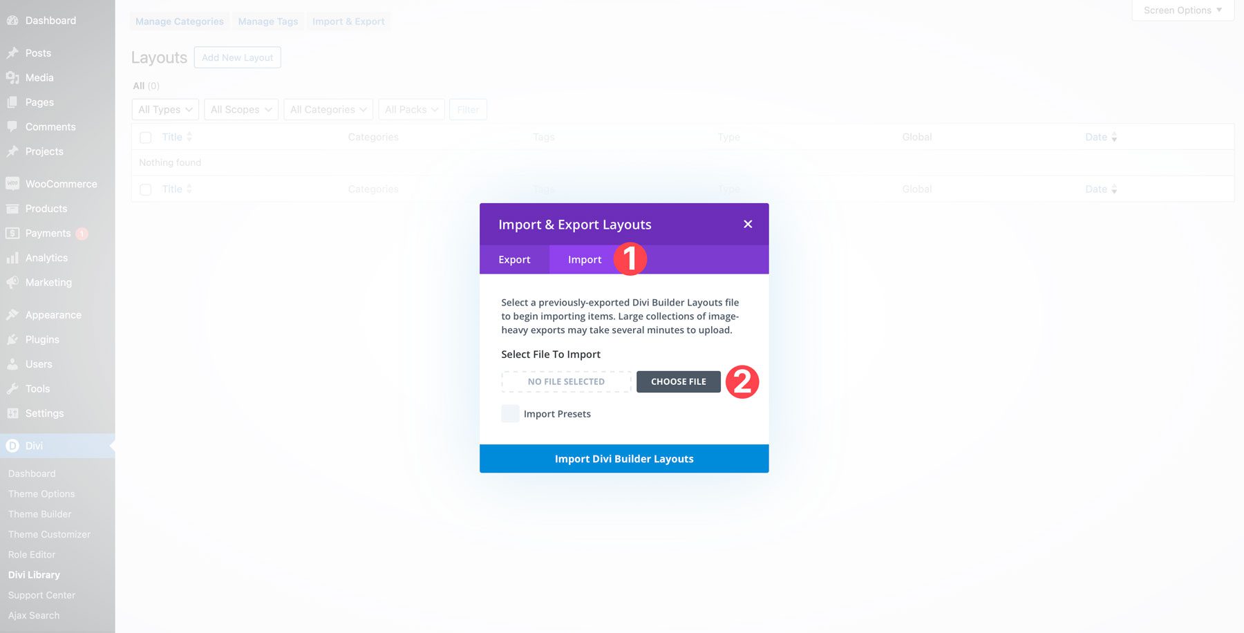 Registerkarte „Divi-Layouts-Import“.