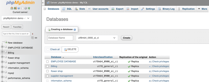 找到与我的 WordPress 网站匹配的数据库 - 来源:phpMyAdmin