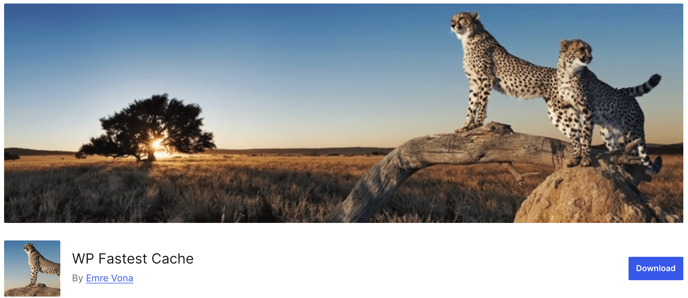 Esta es una captura de pantalla del complemento WP Fastest Cache