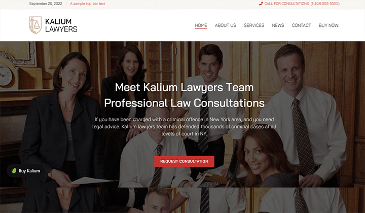Los 12 mejores temas de WordPress para sitios web de miel y apicultura 10 kalium law 12