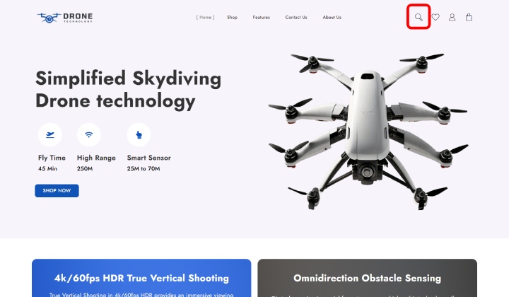 วิธีเพิ่มแถบค้นหาที่กำหนดเองใน WooCommerce เพื่อให้ค้นพบผลิตภัณฑ์ได้ง่ายขึ้น 7 Drone with seach