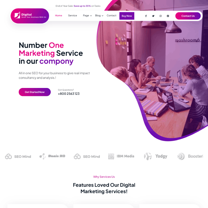 13+广告代理商的最佳网站模板7 digital advertising agency