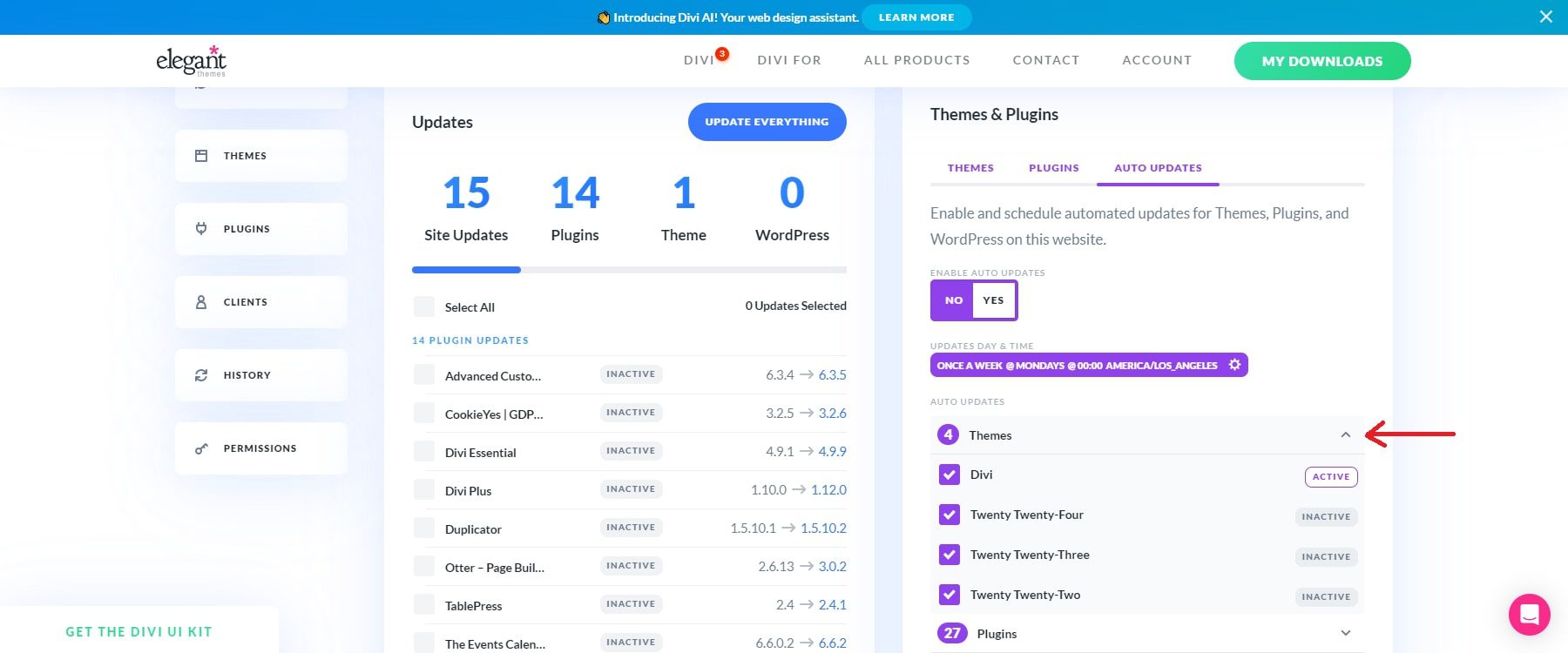 Divi Dash Auto Updateテーマ