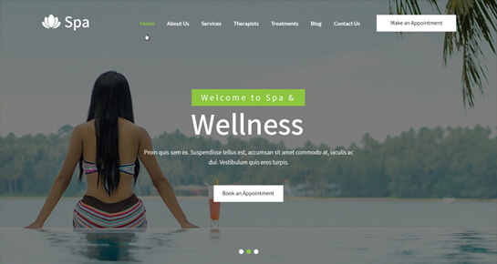 SPA WordPress موضوع