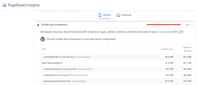 Vérification de la compression GZIP avec PagesPeed Insights (Section de diagnostic) - Source: Pagespeed