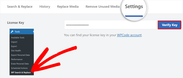搜索和重新安置所有物品 - ISITWP-免费WordPress主题检测器 search and replace everything pro activation
