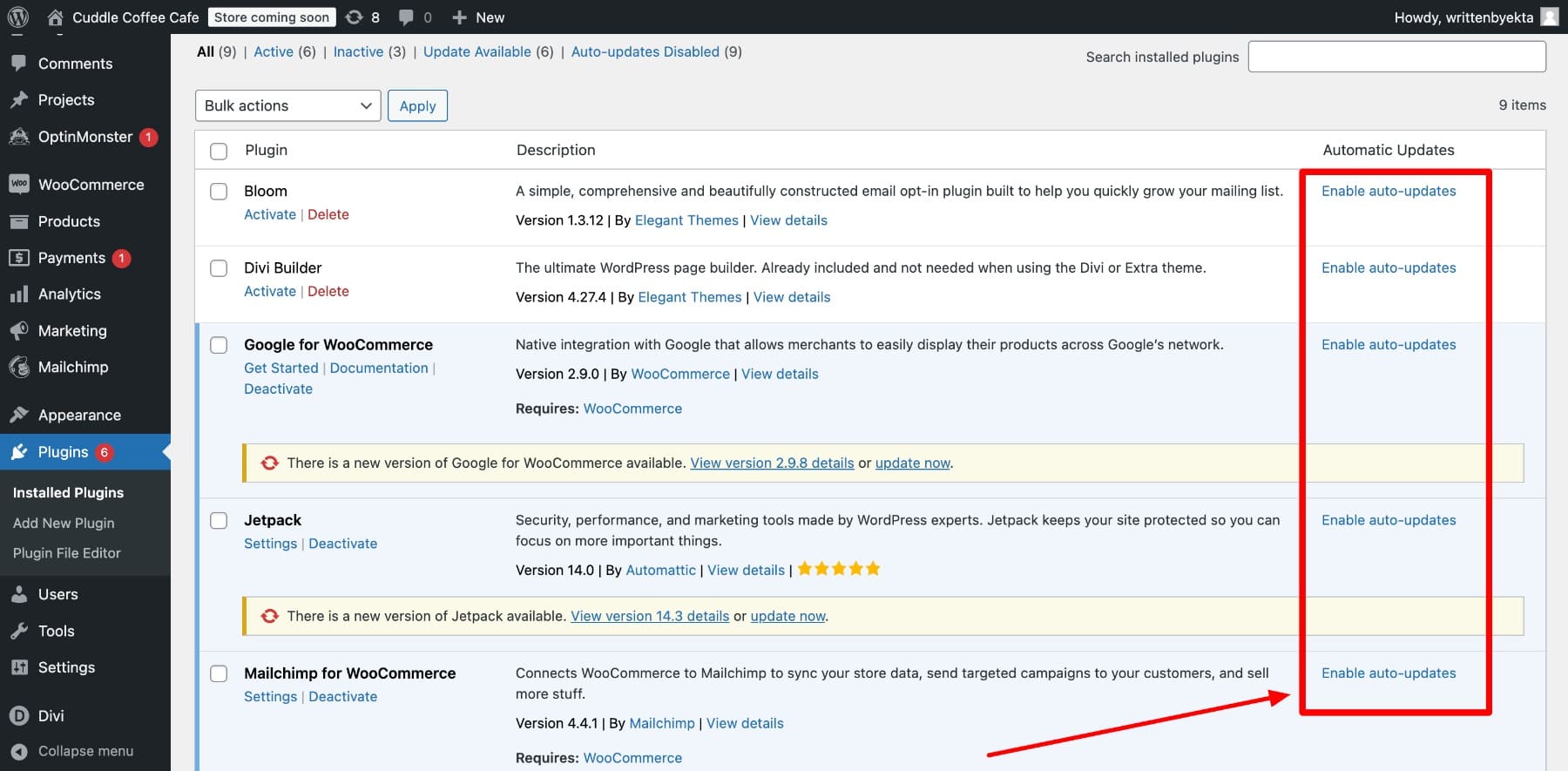 WordPress eklentileri, temaları ve çekirdek için otomatik güncellemeleri etkinleştirin.