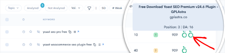Lowfruits -Weak -Spots - ISITWP - Detektor Tema WordPress Gratis lowfruits weak spots