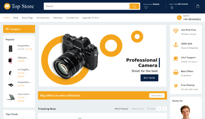 9 Alternatif Tema Neve Terbaik Untuk WordPress 3 topstore 5