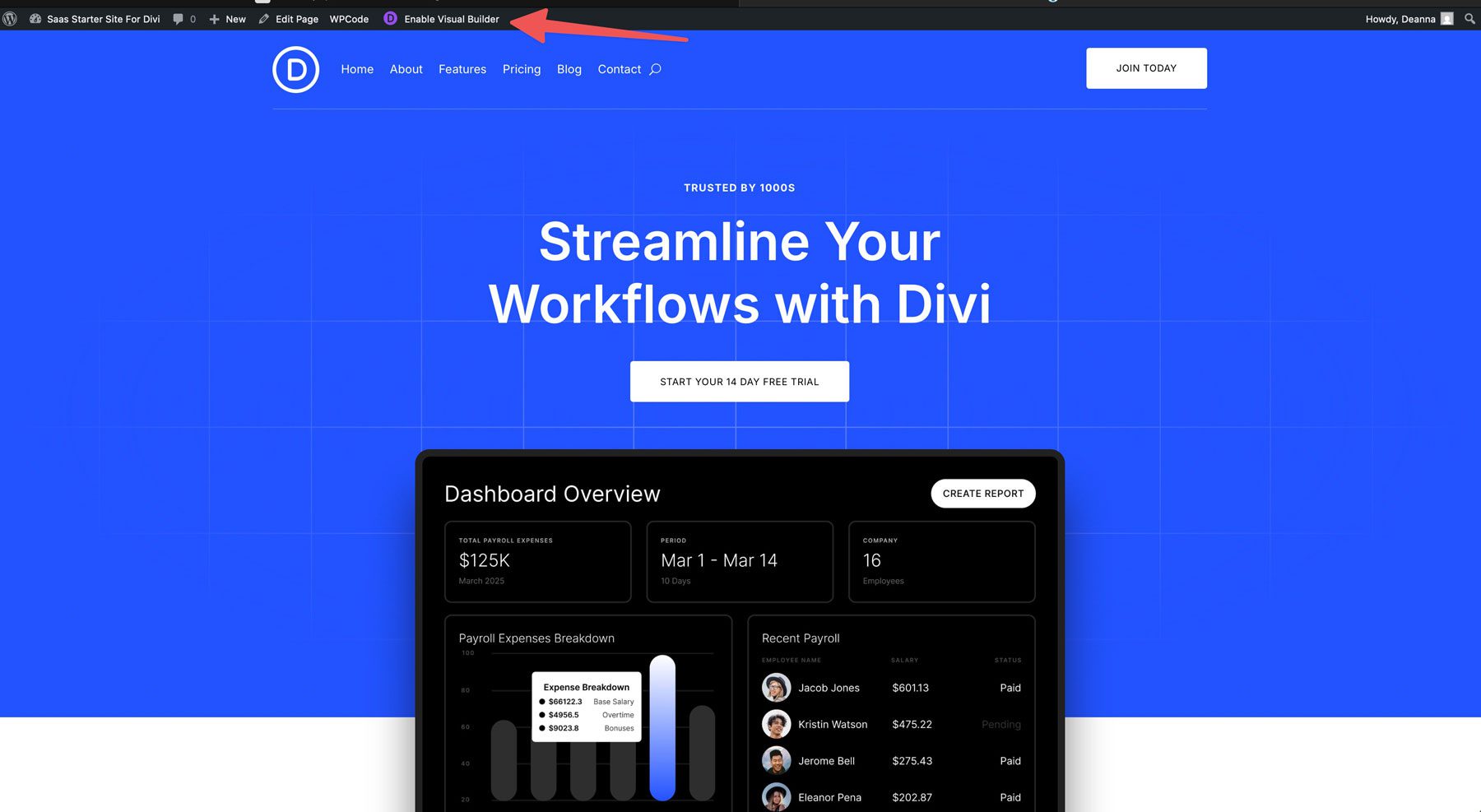 Sitio de inicio de SaaS para Divi