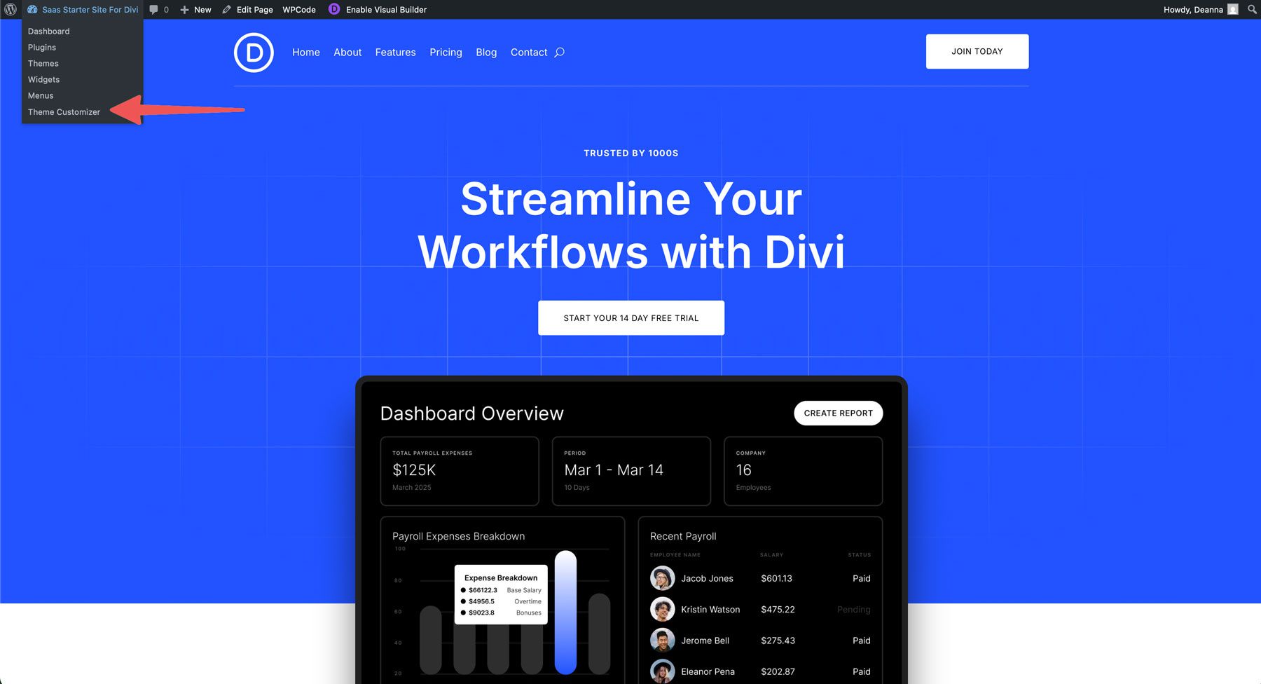 Sitio de inicio de SaaS para Divi