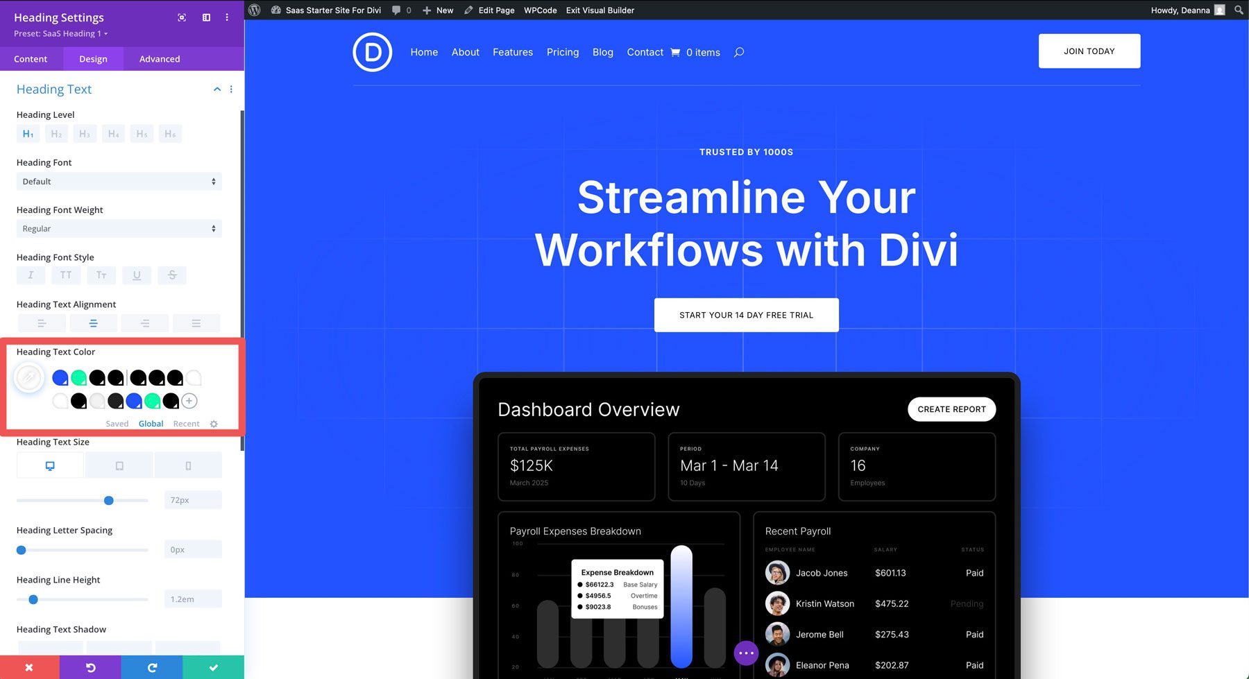 Sitio de inicio de SaaS para Divi