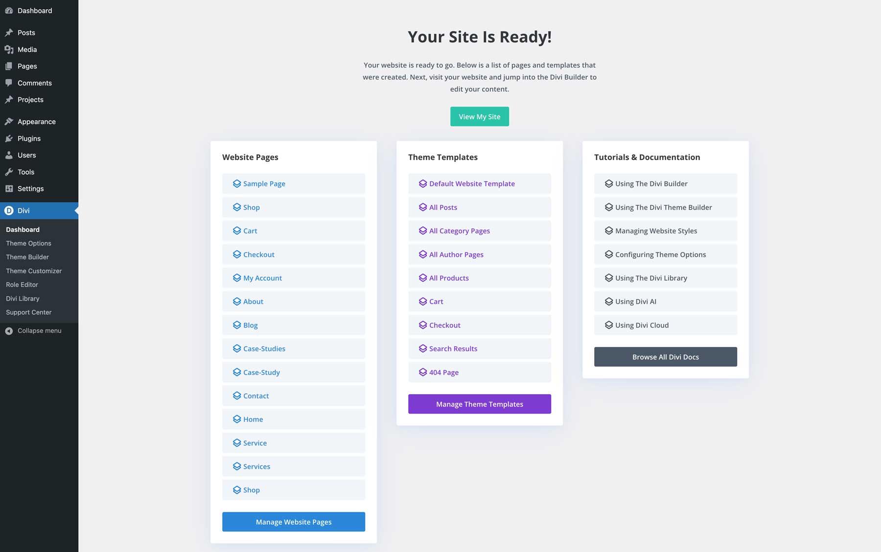Sito di avviamento assicurativo per Divi