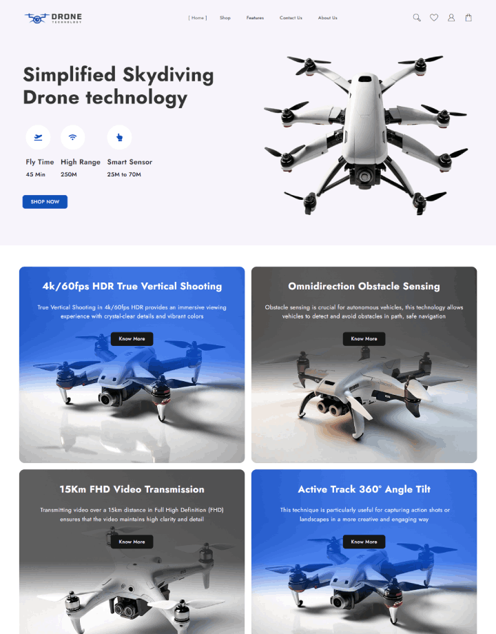 Drone