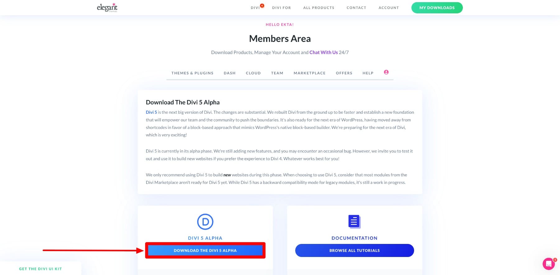 Divi 5 Zip 폴더를 다운로드하십시오