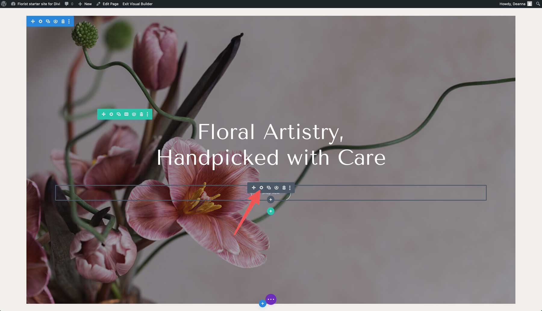 Site de pornire florară pentru Divi