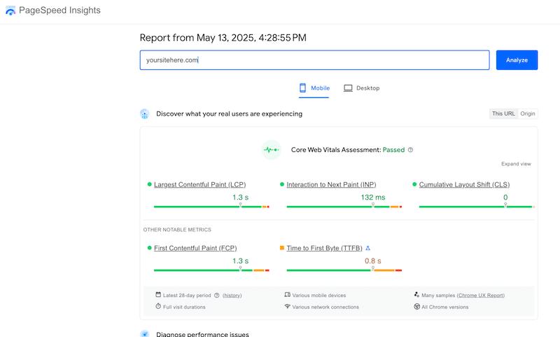 Esecuzione di un audit con PSI - Fonte: Pagespeed Insights