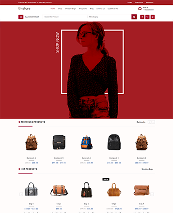 具有演示内容的最佳WooCommerce主题52 th store
