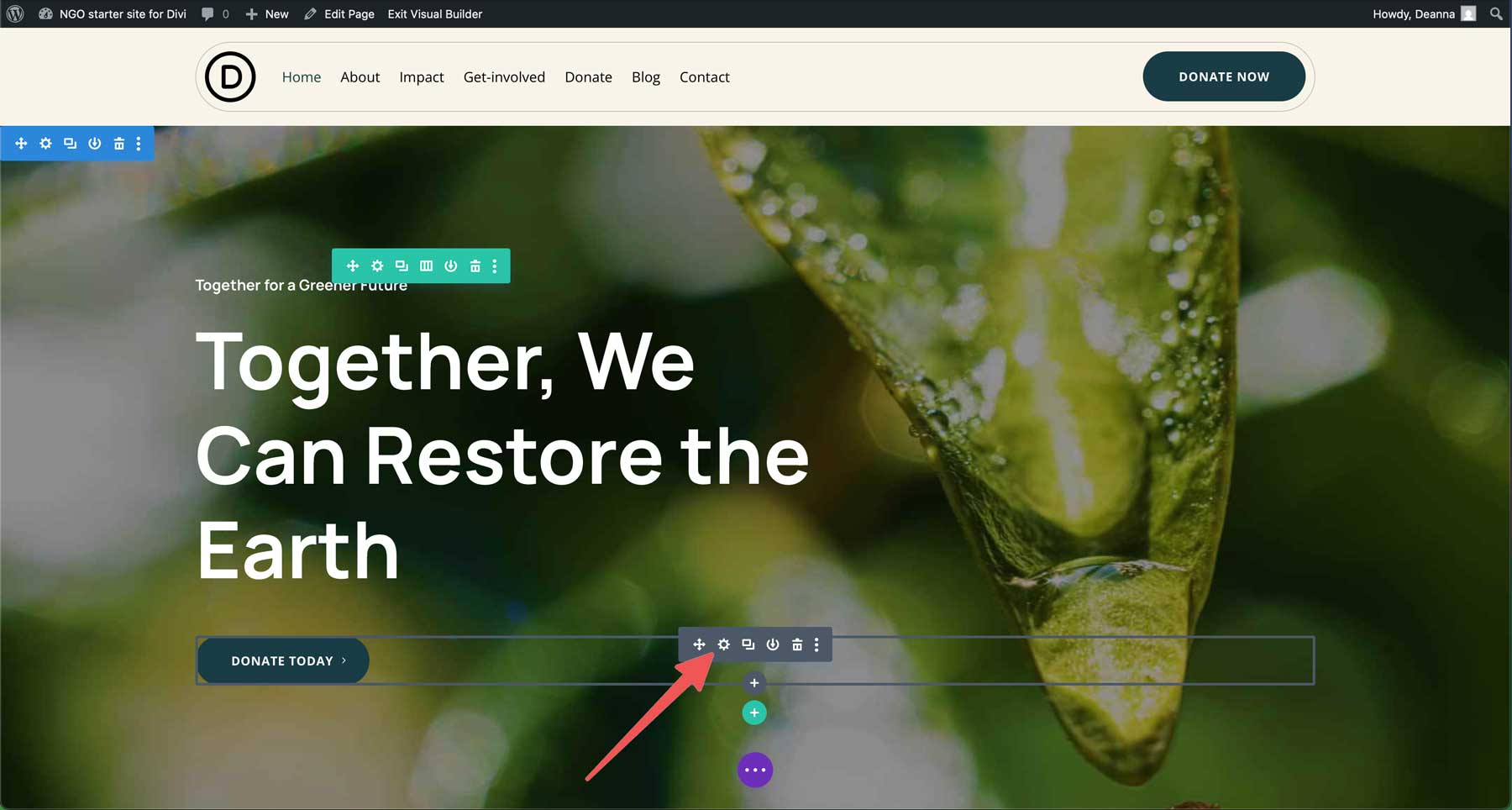 NGO Starter Site für Divi