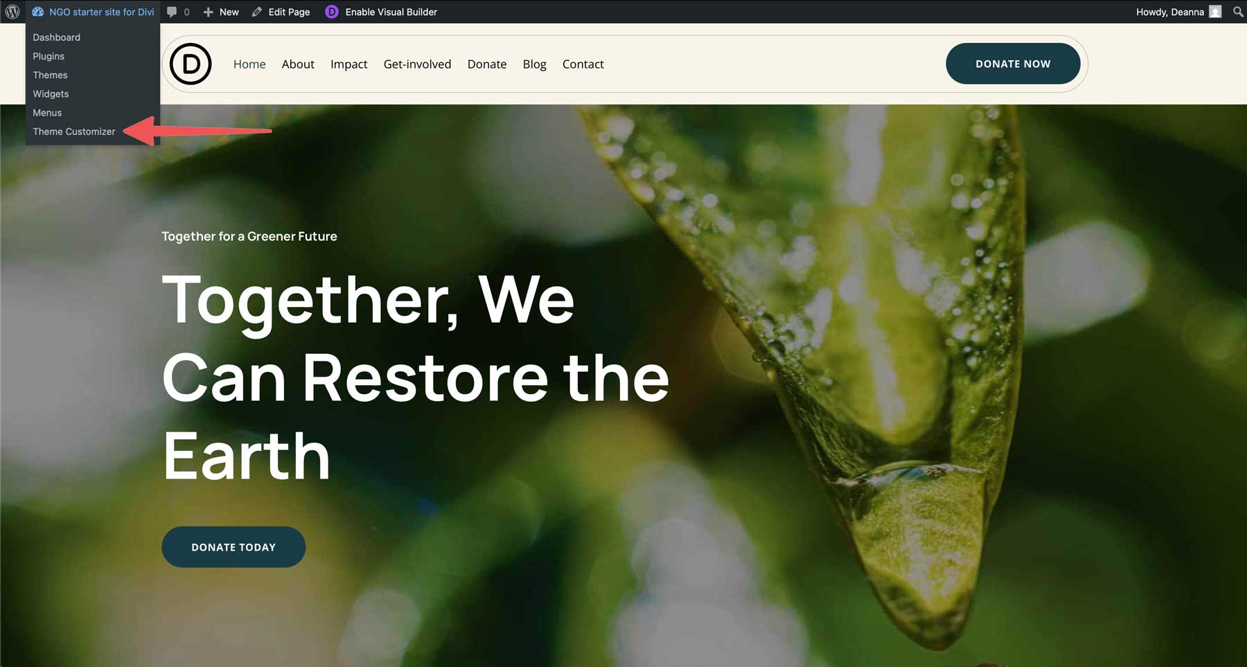 NGO Starter Site für Divi