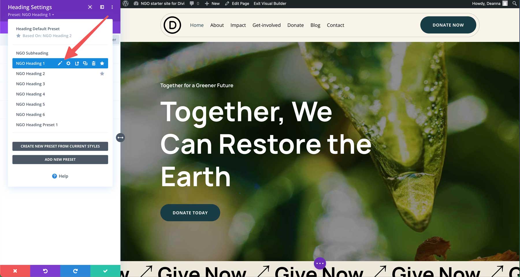 NGO Starter Site für Divi